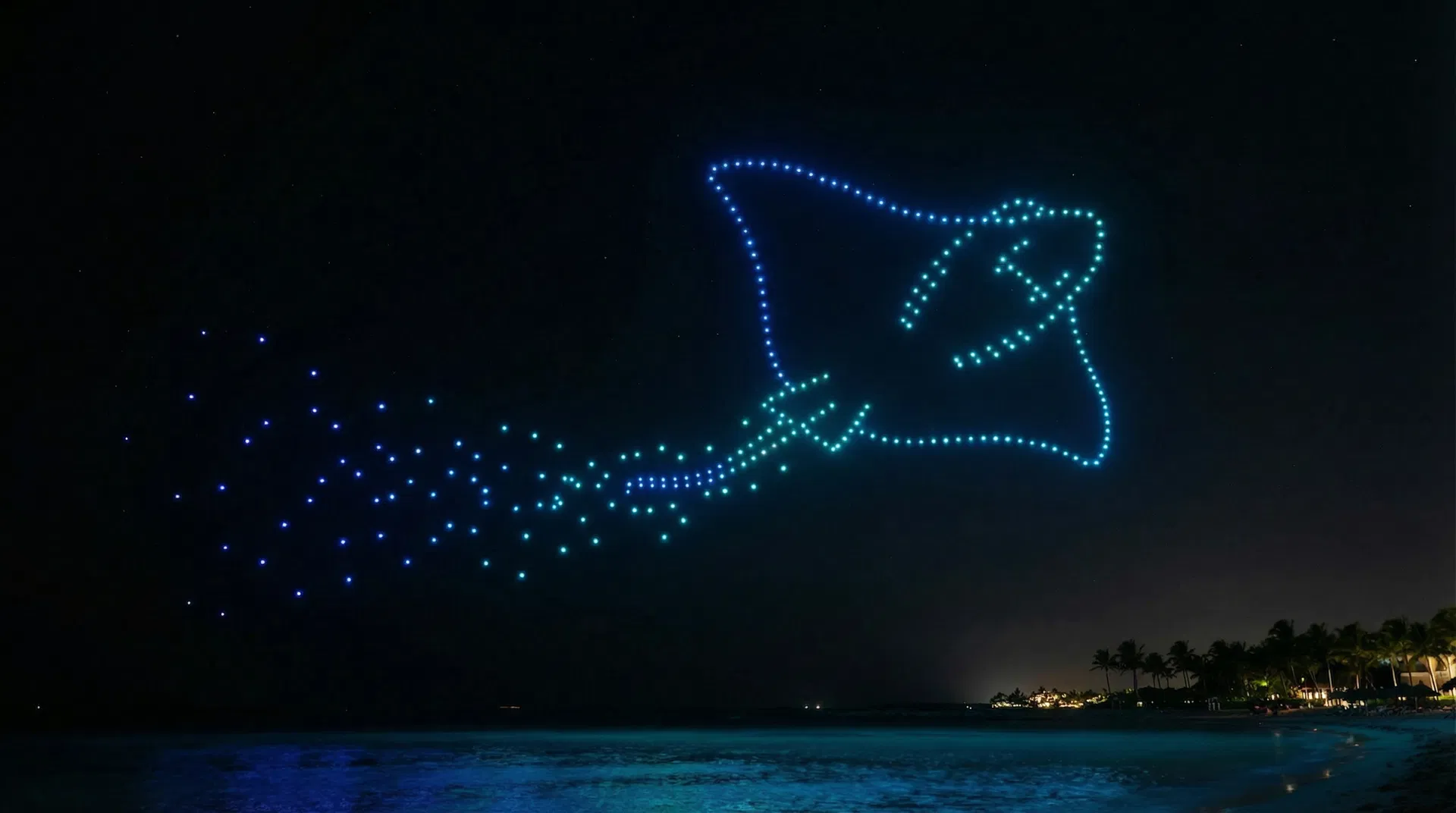 Stingray light formation and luminous trail in the night sky